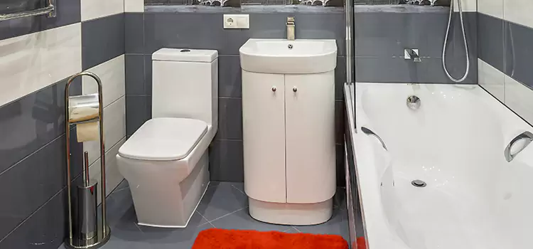 Hansgrohe Shaving Mirror High Point